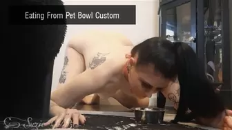 Pet eats from bowl custom