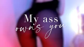 My Ass Owns you