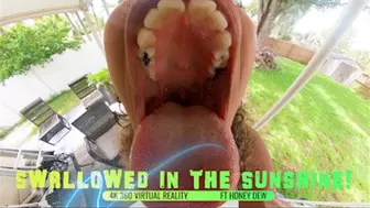 Swallowed In The Sunshine! Ft Honey Dew - 4K 360 VIRTUAL REALITY