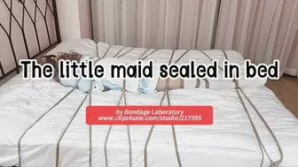 The little maid sealed in bed