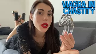 Viagra in chastity - Full HD