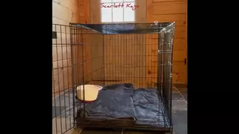 Scarlett Kage - Puppy Care part 1 - puppy waits in his cage while Scarlett works, then gets to eat pussy for lunch MOV