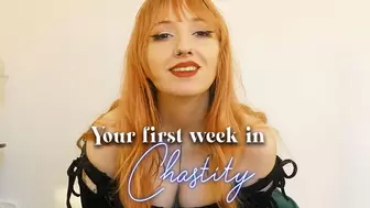 First week in Chastity