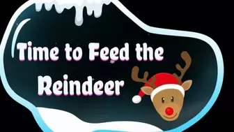 Time to Feed the Reindeer