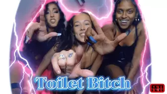 Feti Toilet Bitch-Meiko,Phoenix,Claire 4K