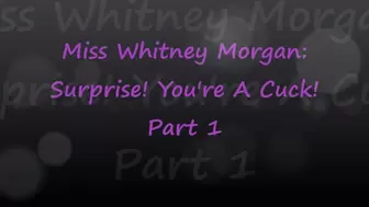 Miss Whitney Morgan: Surprise You're A Cuck part 1 - mp4