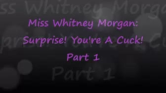 Miss Whitney Morgan: Surprise You're A Cuck part 1 - wmv