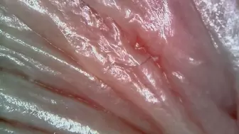 Loud microscope farts inside my asshole 4K