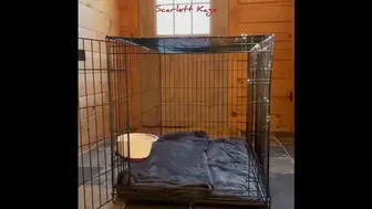 Scarlett Kage - Puppy Care part 1 - puppy waits in his cage while Scarlett works, then gets to eat pussy for lunch MP4 SD