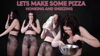 Pizza For Honking and Sneezing Lovers