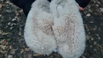 Walk in the woods got my slippers covered