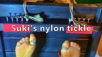 Suki's Nylon Tickle in Stocks