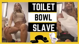 Toilet Bowl Slave