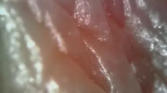 Microscope or endoscope? Sensational farts in a Vore edition inside my ass 4K