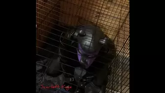 Scarlett Kage Puppy Punishment Part 2 of 2 - strap on, leather leggings, big butt, rough pegging, male orgasm, reach around jerk off, bondage, cage, straight jacket, collar, leash, leather, puppy play, pet play, SPH, angry domme, femdomme, female dominati