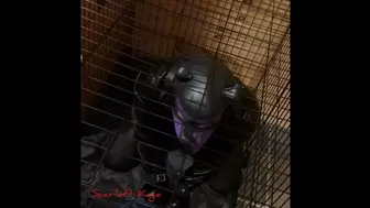 Scarlett Kage Puppy Punishment Part 2 of 2 - strap on, leather leggings, big butt, rough pegging, male orgasm, reach around jerk off, bondage, cage, straight jacket, collar, leash, leather, puppy play, pet play, SPH, angry domme, femdomme, female dom MP4
