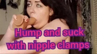 Hump and suck with nipple clamps