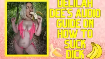 How To Suck Dick - Audio Only