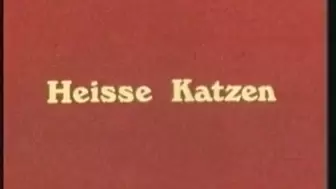 vintage 70s german - Heisse Katzen - cc79