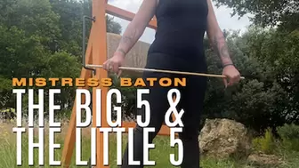 The Big 5 and The Little 5 HD