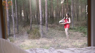 Little Red Riding Hood boned by Wold's massive cock