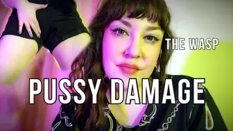 Pussy Damage