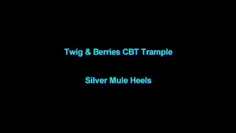 Silver Mule Heels
