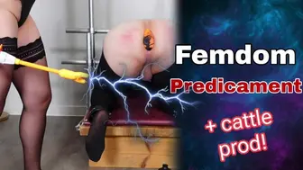 Training Zero Femdom Predicament Bondage Anal or Ballbusting? CBT Fisting Cattle Prod Real Home-made